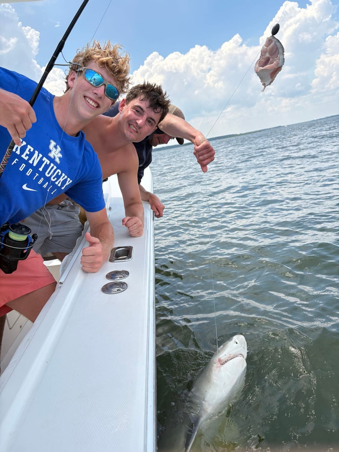 Anglers bringing a shark boatside while shark fishing off Hilton Head